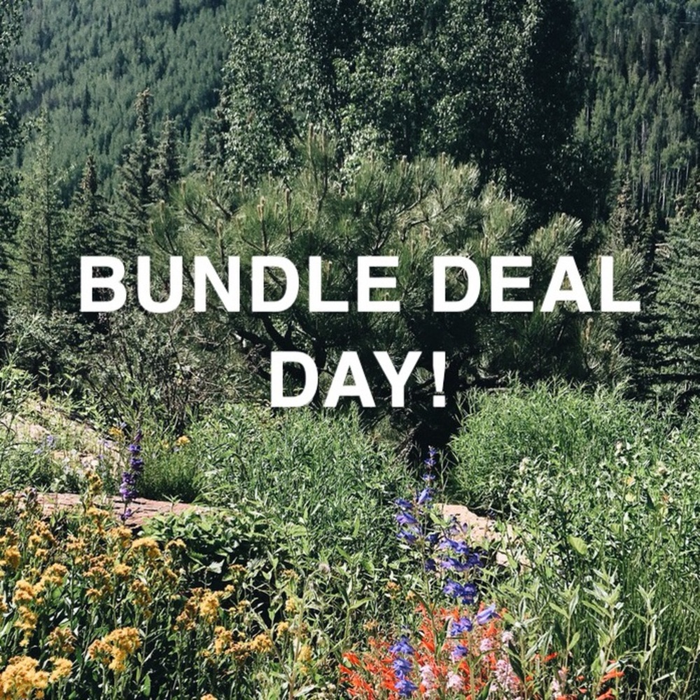 2 FOR $10 BUNDLE DEAL DAY